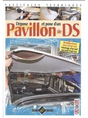 DEPOSE ET POSE D'UN PAVILLON DE DS
