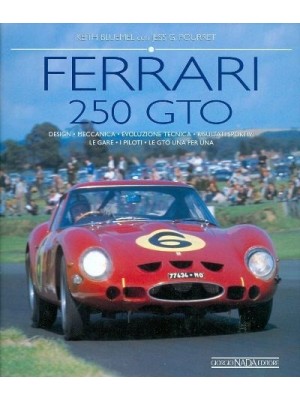 CAVALLINO 205