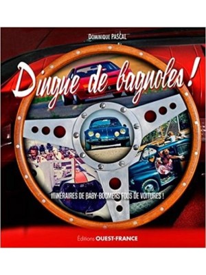 DINGUE DE BAGNOLES