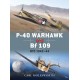 P-40 WARHAWK VS IS-2 - OSPREY DUEL N°38 - Livre