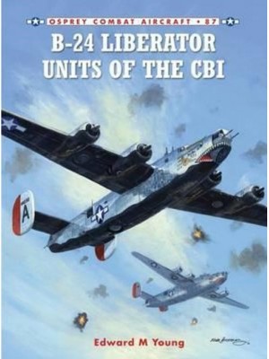 B-24 LIBERATOR UNITS OF THE CBI - COMBAT AIRCRAFT 87  - Livre