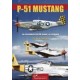 LE P51 MUSTANG UN CHASSEUR ENTRE DANS LA LEGENDE