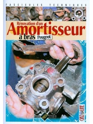 RENOVATION D'UN AMORTISSEUR A BRAS PEUGEOT