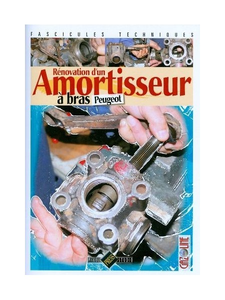 RENOVATION D'UN AMORTISSEUR A BRAS PEUGEOT