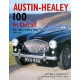 AUSTIN HEALEY 100 IN DETAIL