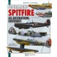 SUPERMARINE SPITFIRE T.3 LES DECORATIONS EXOTIQUES