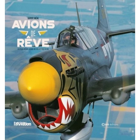 AVIONS DE REVE - AVIONS DE COLLECTIONS EN VOL