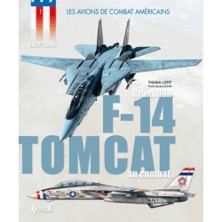 F-14 TOMCAT AU COMBAT