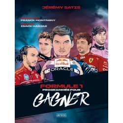 FORMULE 1 PROGRAMMES POUR GAGNER