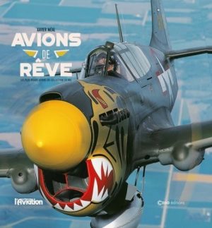 AVIONS DE REVE - AVIONS DE COLLECTIONS EN VOL