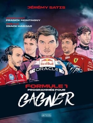 FORMULE 1 PROGRAMMES POUR GAGNER